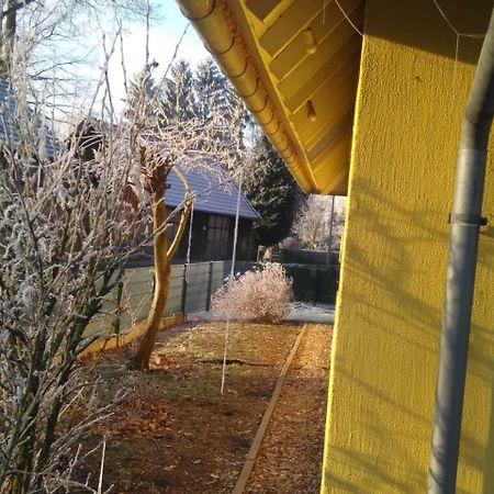 Gastehaus Allergrund Hotell Wienhausen Eksteriør bilde